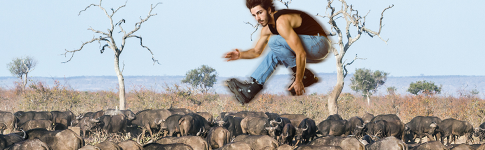 Man jumping over buffalo herd