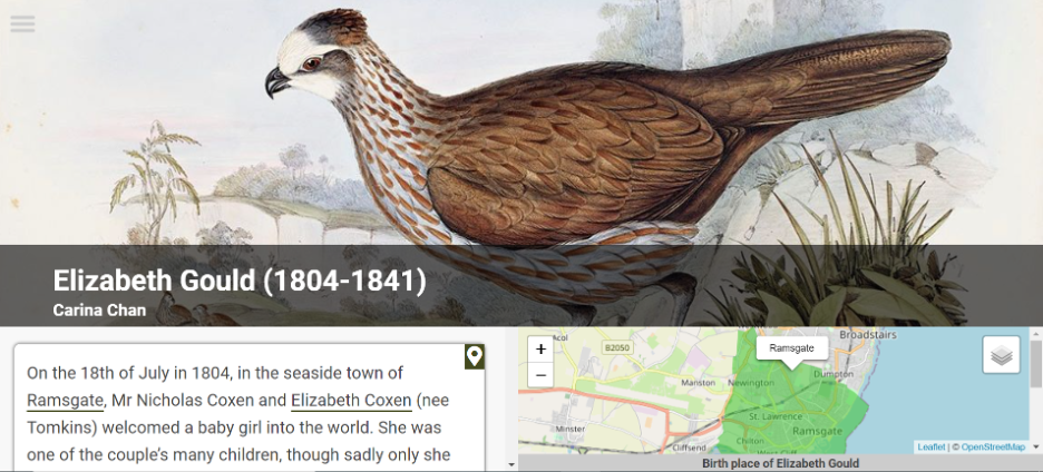 Screenshot showing bird illustration